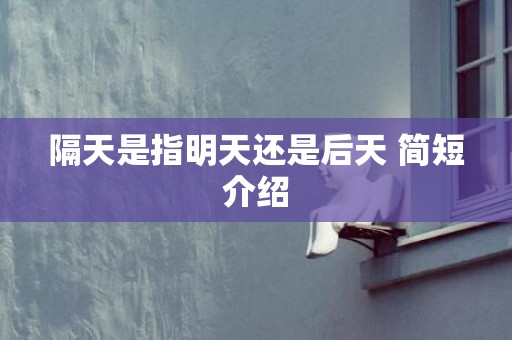 隔天是指明天还是后天 简短介绍