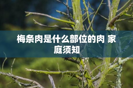梅条肉是什么部位的肉 家庭须知