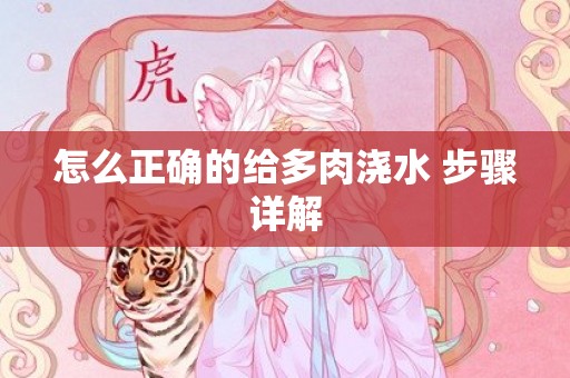 怎么正确的给多肉浇水 步骤详解