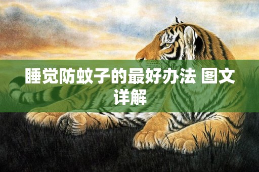 睡觉防蚊子的最好办法 图文详解