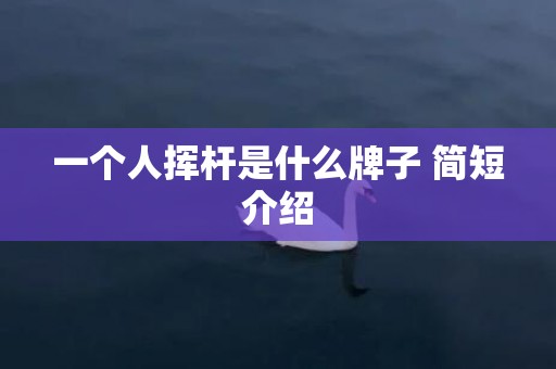 一个人挥杆是什么牌子 简短介绍