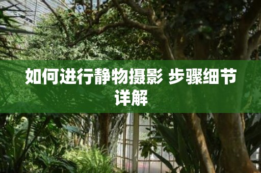 如何进行静物摄影 步骤细节详解