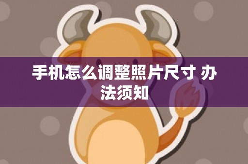手机怎么调整照片尺寸 办法须知