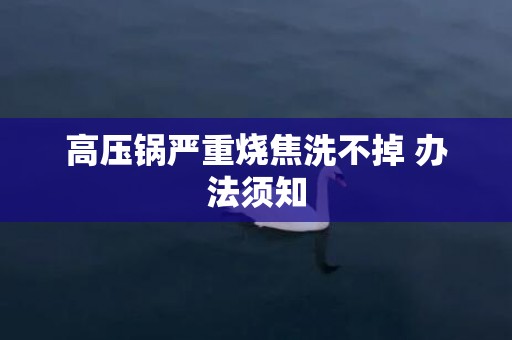 高压锅严重烧焦洗不掉 办法须知