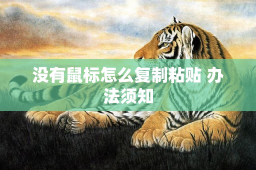 没有鼠标怎么复制粘贴 办法须知