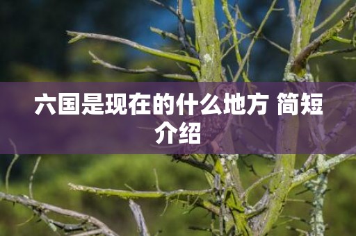 六国是现在的什么地方 简短介绍