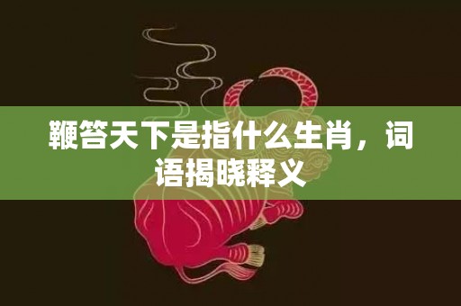 鞭笞天下是指什么生肖，词语揭晓释义