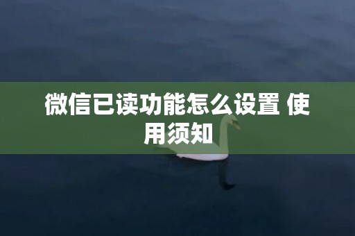微信已读功能怎么设置 使用须知