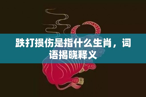 跌打损伤是指什么生肖，词语揭晓释义