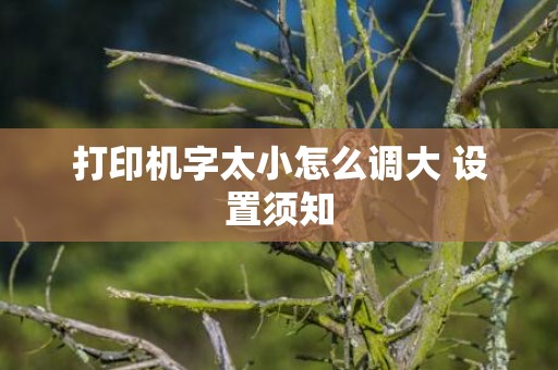 打印机字太小怎么调大 设置须知