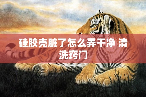 硅胶壳脏了怎么弄干净 清洗窍门