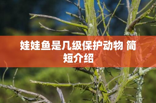 娃娃鱼是几级保护动物 简短介绍