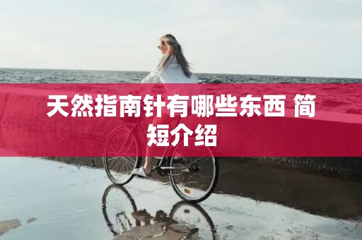 天然指南针有哪些东西 简短介绍