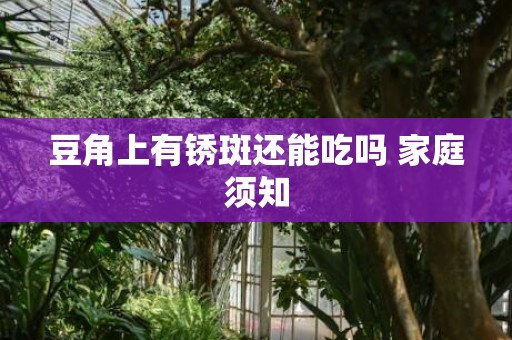 豆角上有锈斑还能吃吗 家庭须知