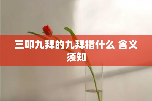 三叩九拜的九拜指什么 含义须知