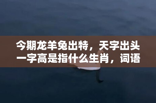 今期龙羊兔出特，天字出头一字高是指什么生肖，词语揭晓释义