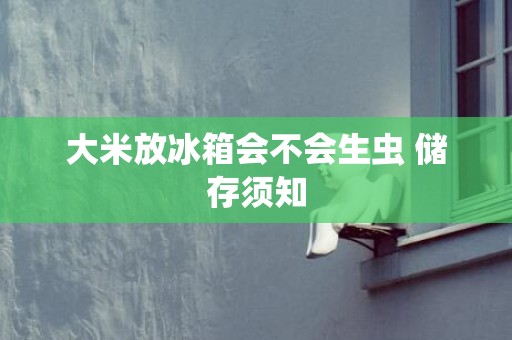 大米放冰箱会不会生虫 储存须知