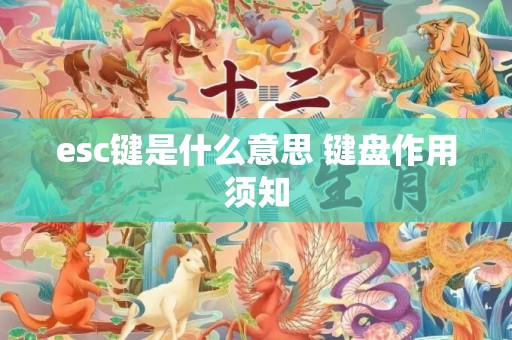 esc键是什么意思 键盘作用须知