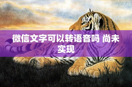 微信文字可以转语音吗 尚未实现