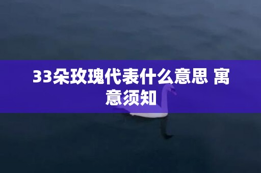33朵玫瑰代表什么意思 寓意须知