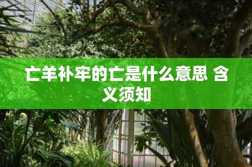 亡羊补牢的亡是什么意思 含义须知