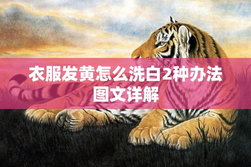 衣服发黄怎么洗白2种办法图文详解