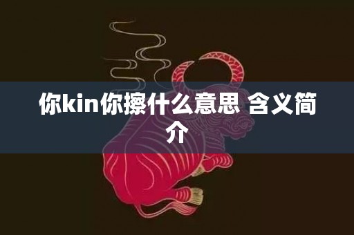 你kin你擦什么意思 含义简介