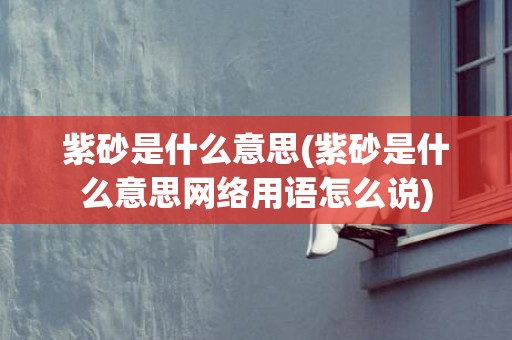 紫砂是什么意思(紫砂是什么意思网络用语怎么说)