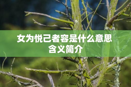 女为悦己者容是什么意思 含义简介