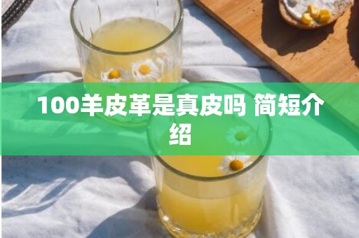 100羊皮革是真皮吗 简短介绍