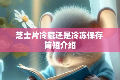 芝士片冷藏还是冷冻保存 简短介绍