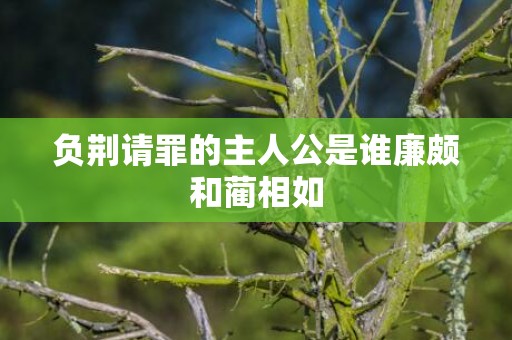 负荆请罪的主人公是谁廉颇和蔺相如