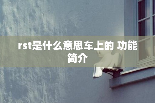 rst是什么意思车上的 功能简介