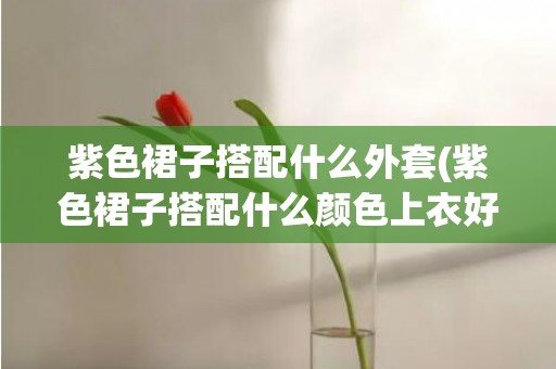 紫色裙子搭配什么外套(紫色裙子搭配什么颜色上衣好看图片)