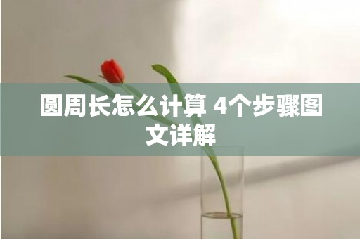 圆周长怎么计算 4个步骤图文详解