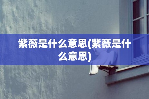 紫薇是什么意思(紫薇是什么意思)