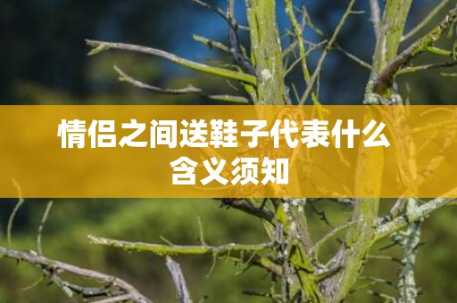 情侣之间送鞋子代表什么 含义须知