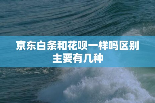 京东白条和花呗一样吗区别主要有几种
