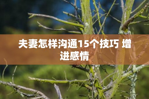 夫妻怎样沟通15个技巧 增进感情