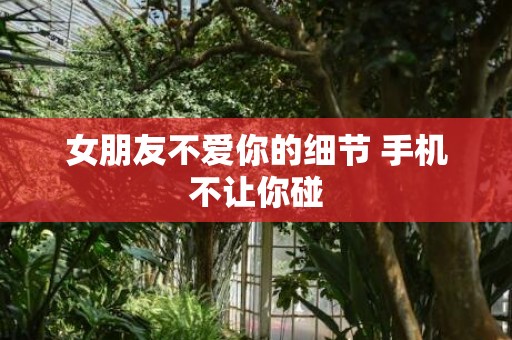 女朋友不爱你的细节 手机不让你碰