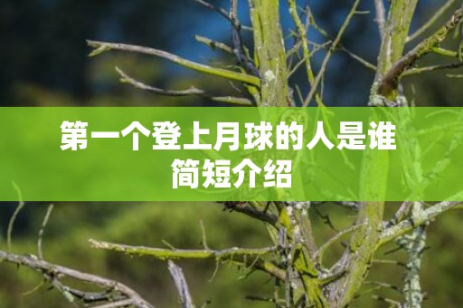 第一个登上月球的人是谁 简短介绍