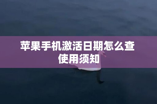 苹果手机激活日期怎么查 使用须知