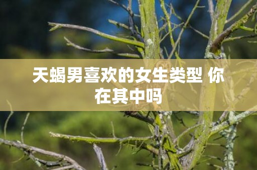 天蝎男喜欢的女生类型 你在其中吗