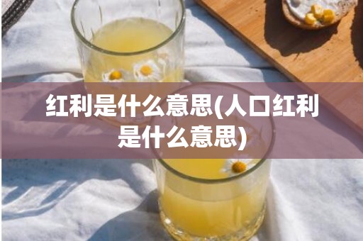 红利是什么意思(人口红利是什么意思)