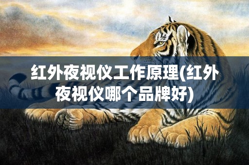 红外夜视仪工作原理(红外夜视仪哪个品牌好)