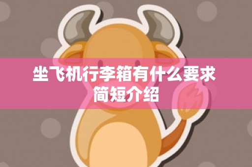 坐飞机行李箱有什么要求 简短介绍