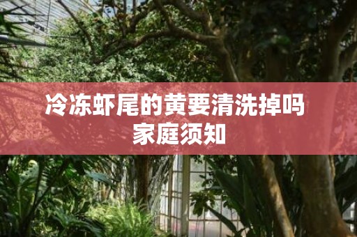 冷冻虾尾的黄要清洗掉吗 家庭须知