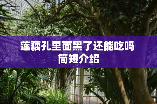 莲藕孔里面黑了还能吃吗 简短介绍