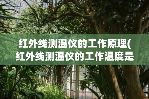 红外线测温仪的工作原理(红外线测温仪的工作温度是多少)
