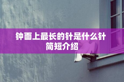 钟面上最长的针是什么针 简短介绍